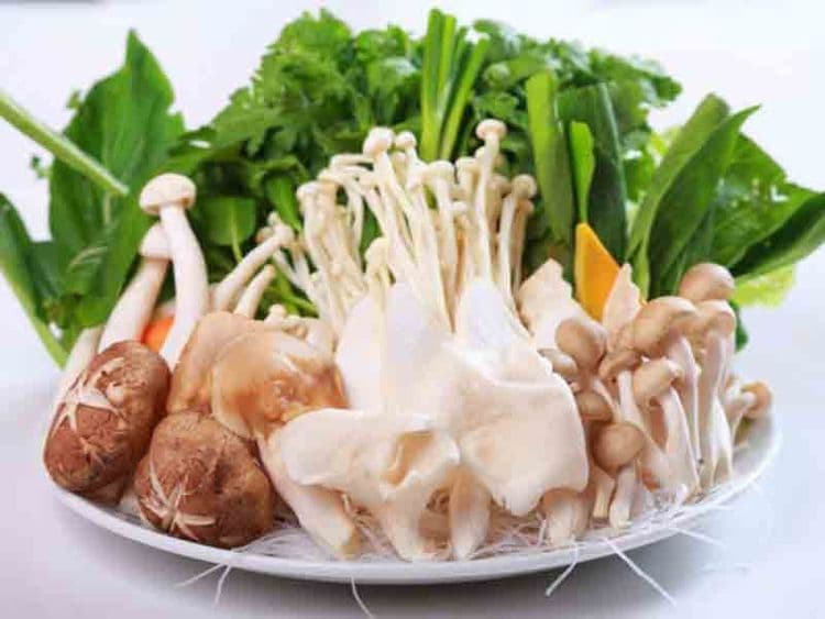 Nấm Tổng hợp