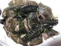 Gà Đen Hấp Lá Chanh